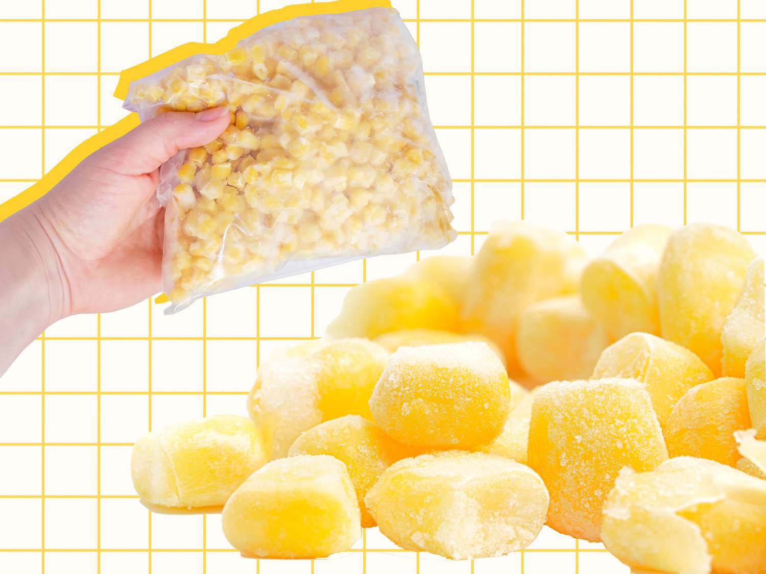 Find out how to Freeze Corn