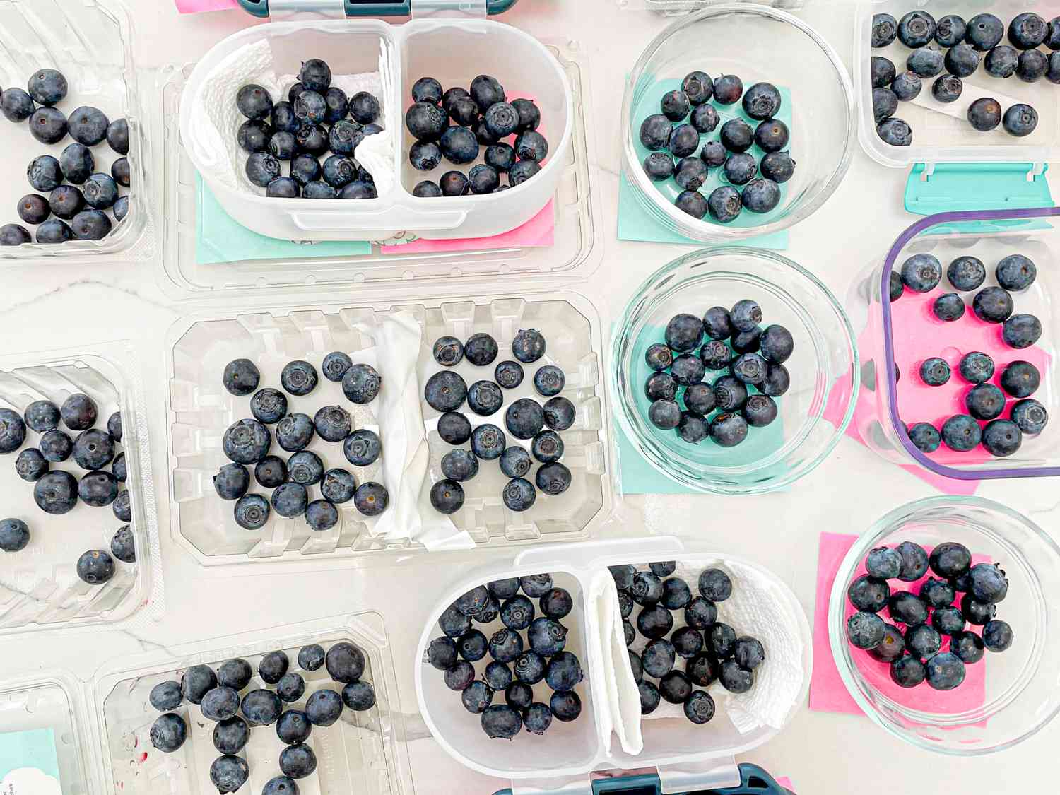 Retailer Blueberries So They Final Longer