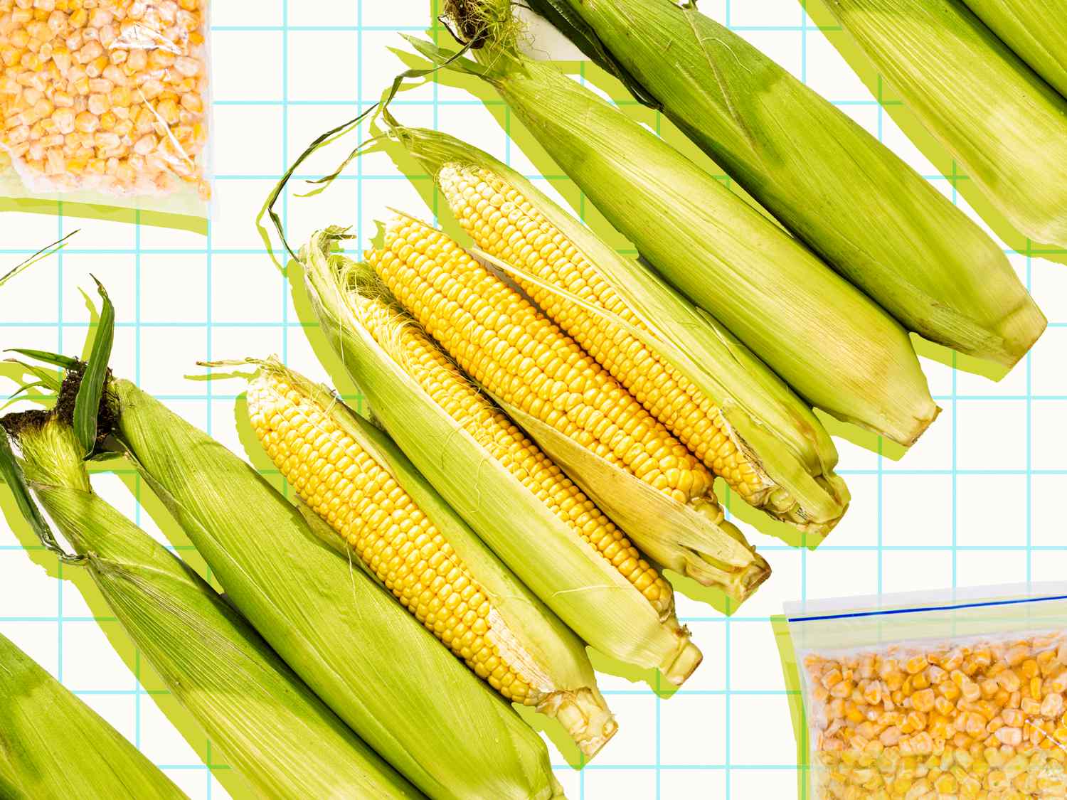 Learn how to Retailer Recent Corn on the Cob